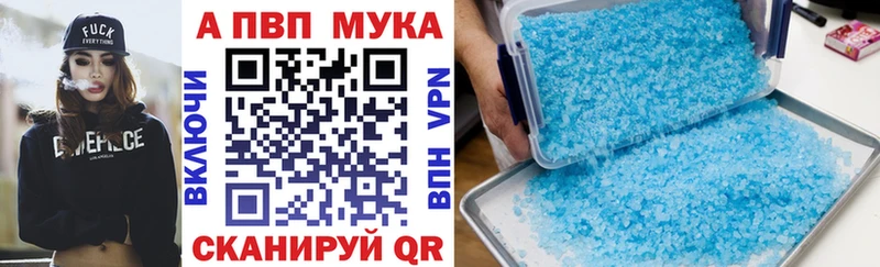 Alfa_PVP СК КРИС  Терек 