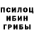 Галлюциногенные грибы Psilocybine cubensis Ksyusha K