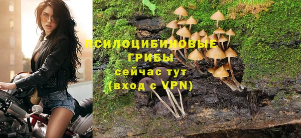 ешки Липки