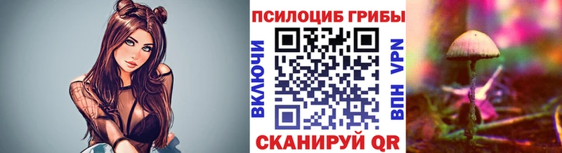 кракен сайт  наркота  Терек  Псилоцибиновые грибы мицелий 
